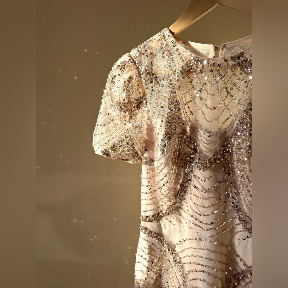 Dress the Population | SAMPLE | Sequin Cocktail Dress | Size XS | NWOT - Picture 5 of 12